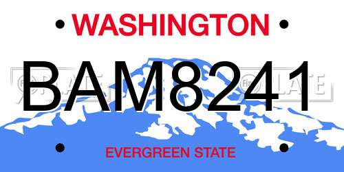 BAM8241 Washington License Plate