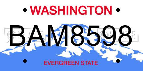 BAM8598 Washington License Plate