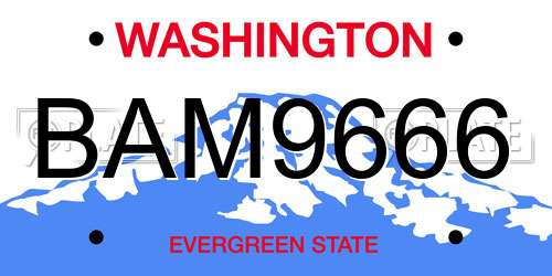 BAM9666 Washington License Plate