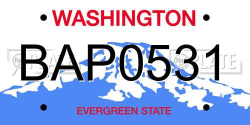 BAP0531 Washington License Plate
