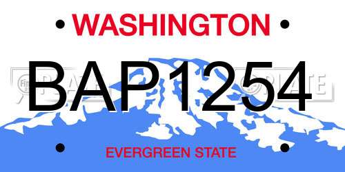 BAP1254 Washington License Plate