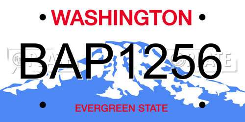 BAP1256 Washington License Plate