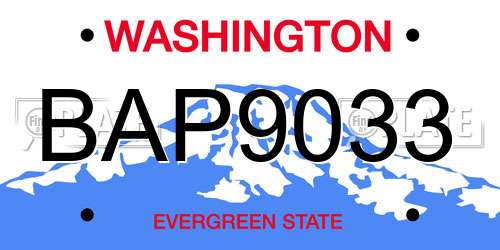 BAP9033 Washington License Plate