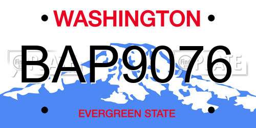 BAP9076 Washington License Plate