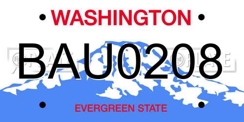 BAU0208 Washington License Plate