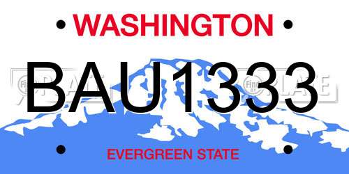 BAU1333 Washington License Plate