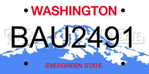 BAU2491 Washington License Plate
