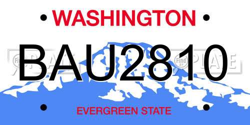 BAU2810 Washington License Plate