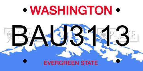 BAU3113 Washington License Plate