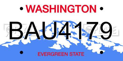 BAU4179 Washington License Plate