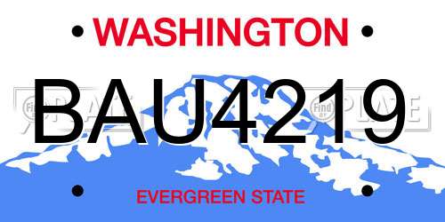 BAU4219 Washington License Plate