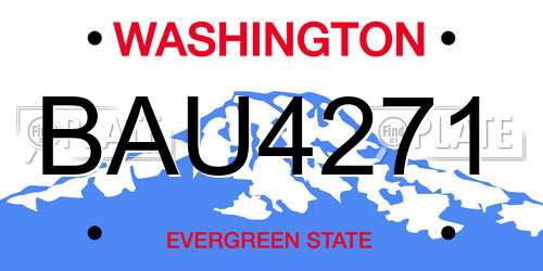 BAU4271 Washington License Plate