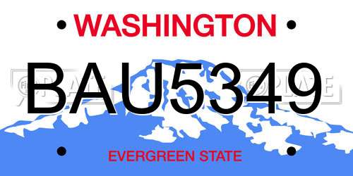 BAU5349 Washington License Plate