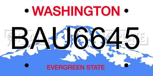 BAU6645 Washington License Plate