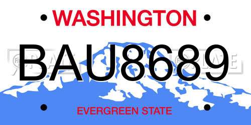 BAU8689 Washington License Plate