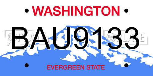 BAU9133 Washington License Plate