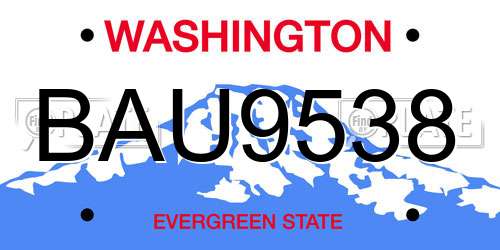 BAU9538 Washington License Plate
