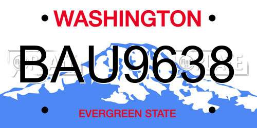 BAU9638 Washington License Plate