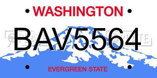 BAV5564 Washington License Plate