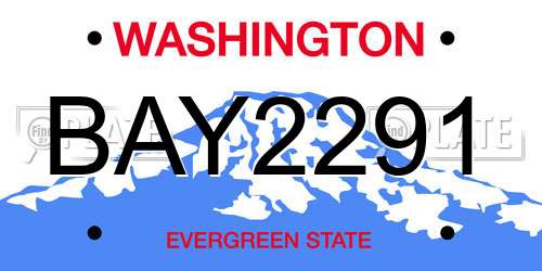BAY2291 Washington License Plate