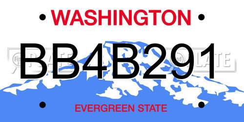 BB4B291 Washington License Plate