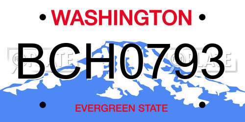 BCH0793 Washington License Plate