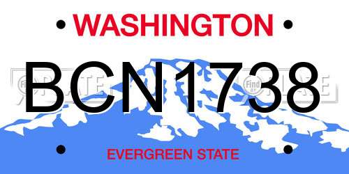BCN1738 Washington License Plate