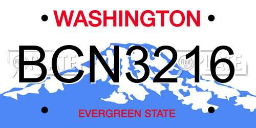 BCN3216 Washington License Plate
