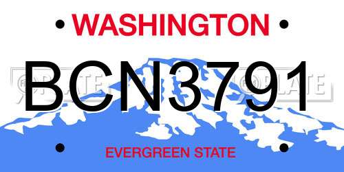BCN3791 Washington License Plate