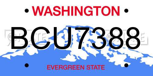 BCU7388 Washington License Plate