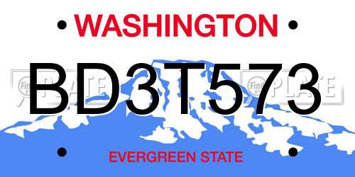 BD3T573 Washington License Plate