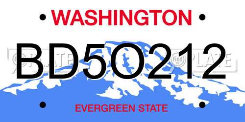 BD5O212 Washington License Plate