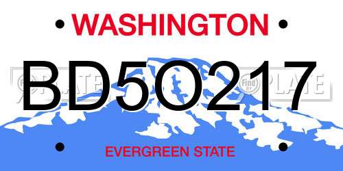 BD5O217 Washington License Plate