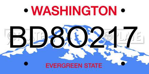 BD8O217 Washington License Plate