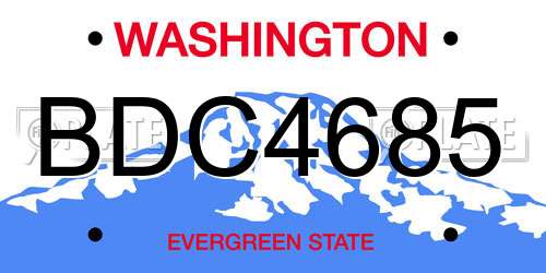 BDC4685 Washington License Plate