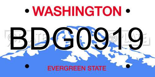 BDG0919 Washington License Plate