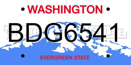 BDG6541 Washington License Plate