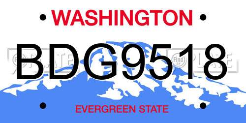 BDG9518 Washington License Plate