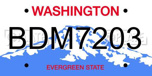 BDM7203 Washington License Plate