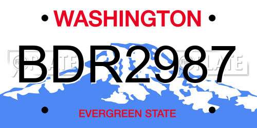 BDR2987 Washington License Plate