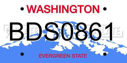BDS0861 Washington License Plate