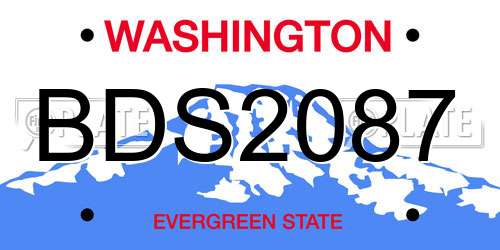 BDS2087 Washington License Plate