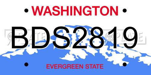 BDS2819 Washington License Plate