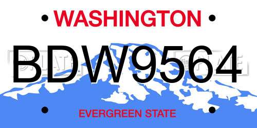 BDW9564 Washington License Plate