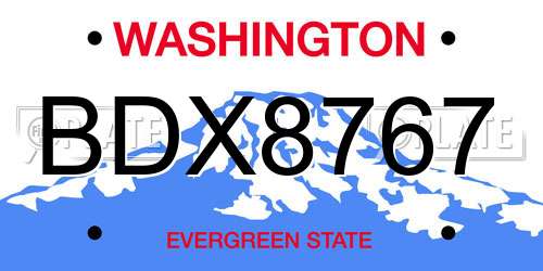 BDX8767 Washington License Plate