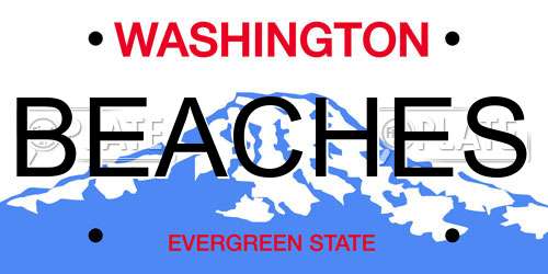 BEACHES Washington License Plate