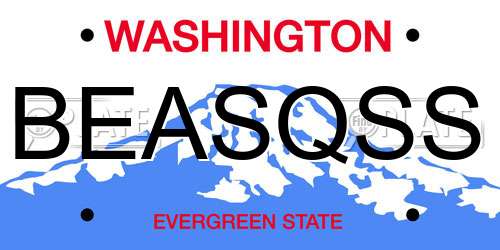 BEASQSS Washington License Plate