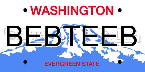 BEBTEEB Washington License Plate