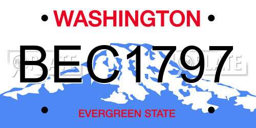 BEC1797 Washington License Plate