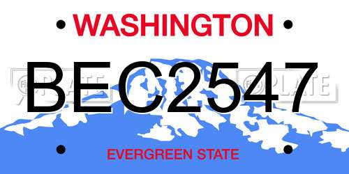 BEC2547 Washington License Plate